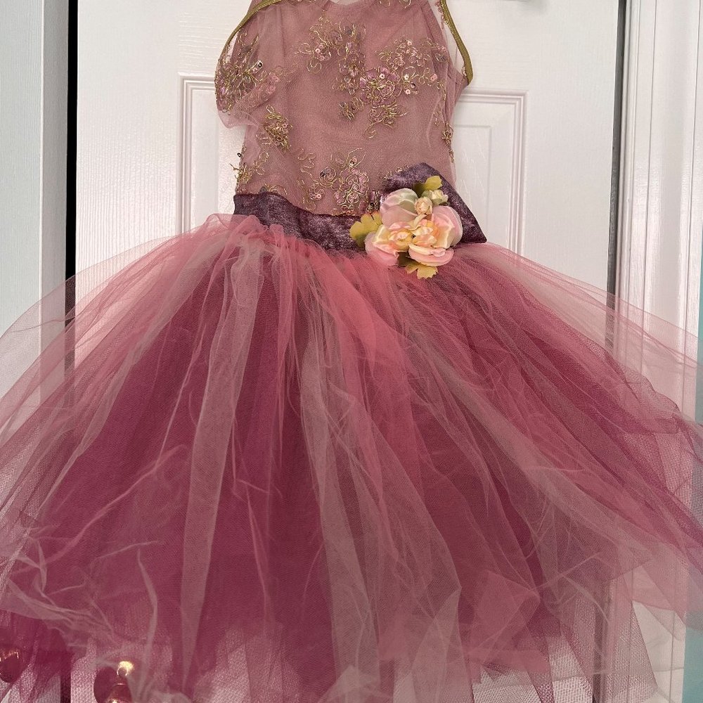 Curtain Call Costumes - Enchanted #C224
